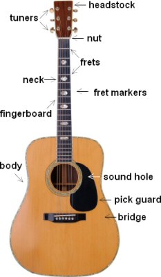 The parts of an acoustic guitar