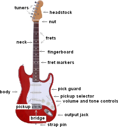 The parts of an electric guitar