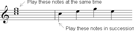 Notes played at the same time and in succession.