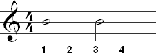 How to count half notes